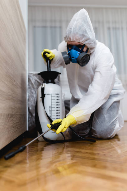 Pest Control for Hotels in Westville, NJ